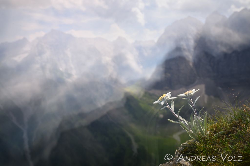 Landschaft3483.jpg